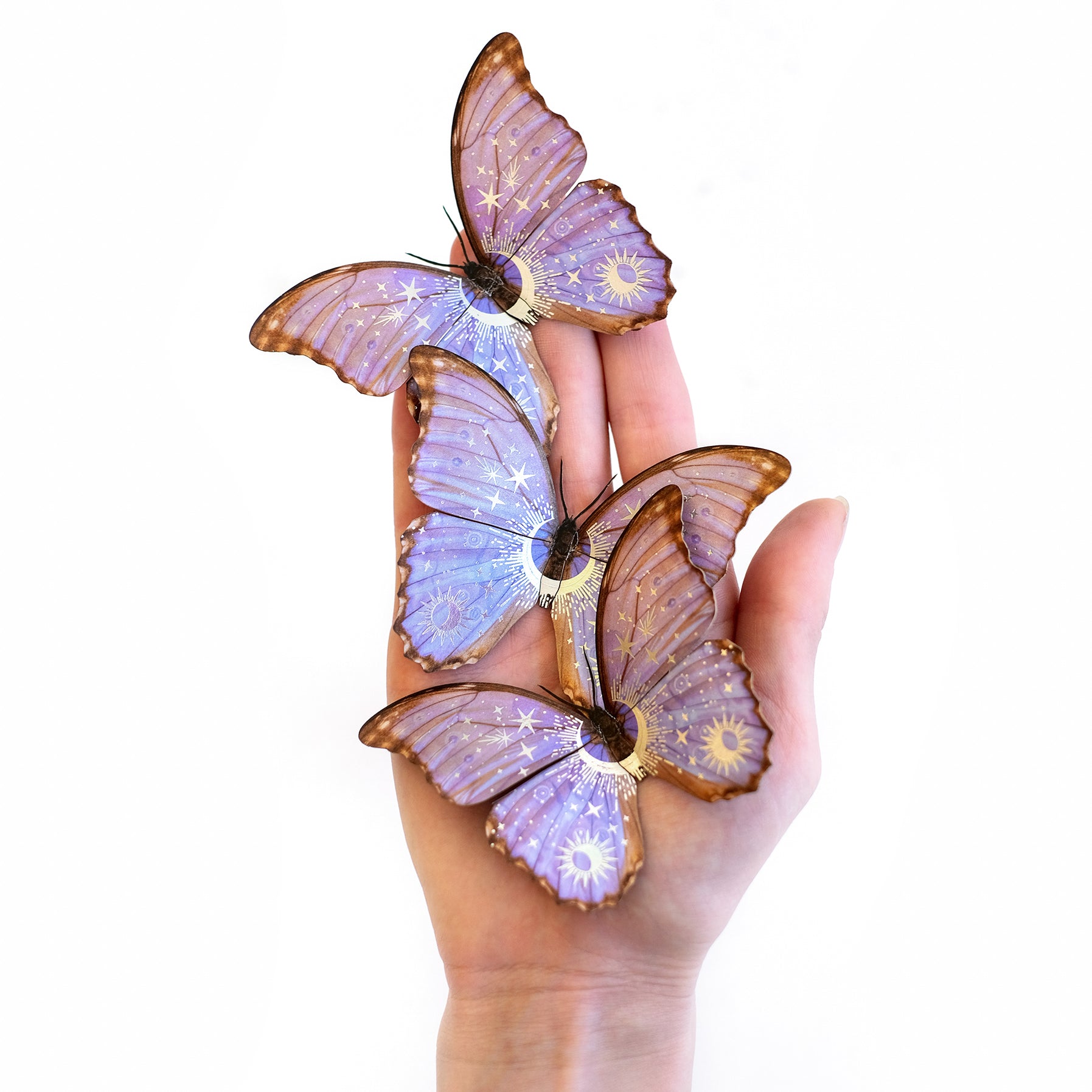 Celestial Beings Morpho Butterfly Set - Artist Discount