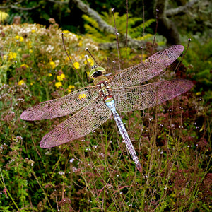 💫New💫'Giant Dragonfly'