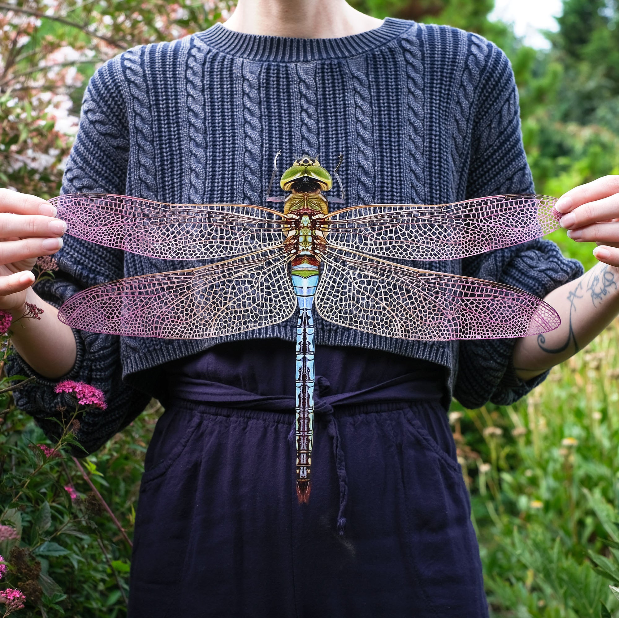 💫New💫'Giant Dragonfly'