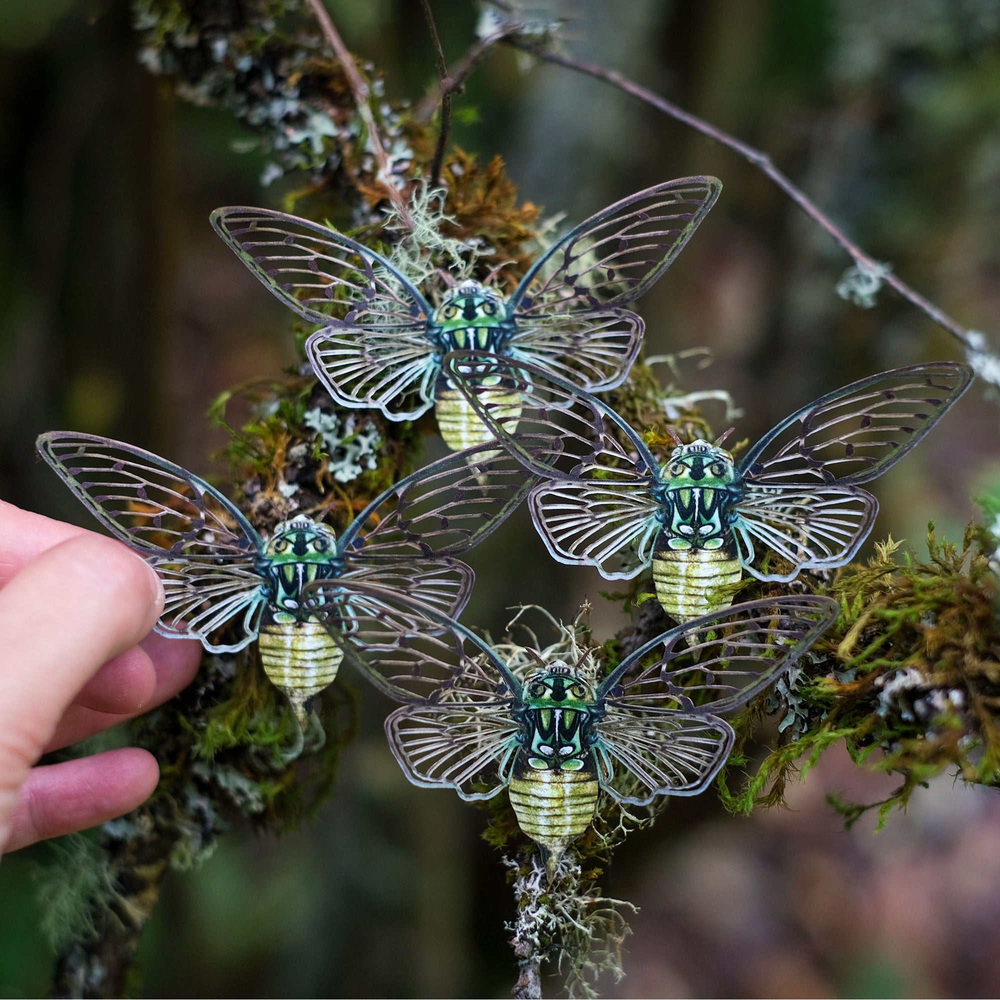 💫NEW💫'Emerald Cicada' Set