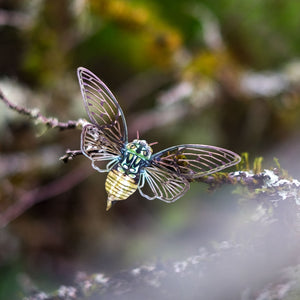 💫NEW💫'Emerald Cicada' Set