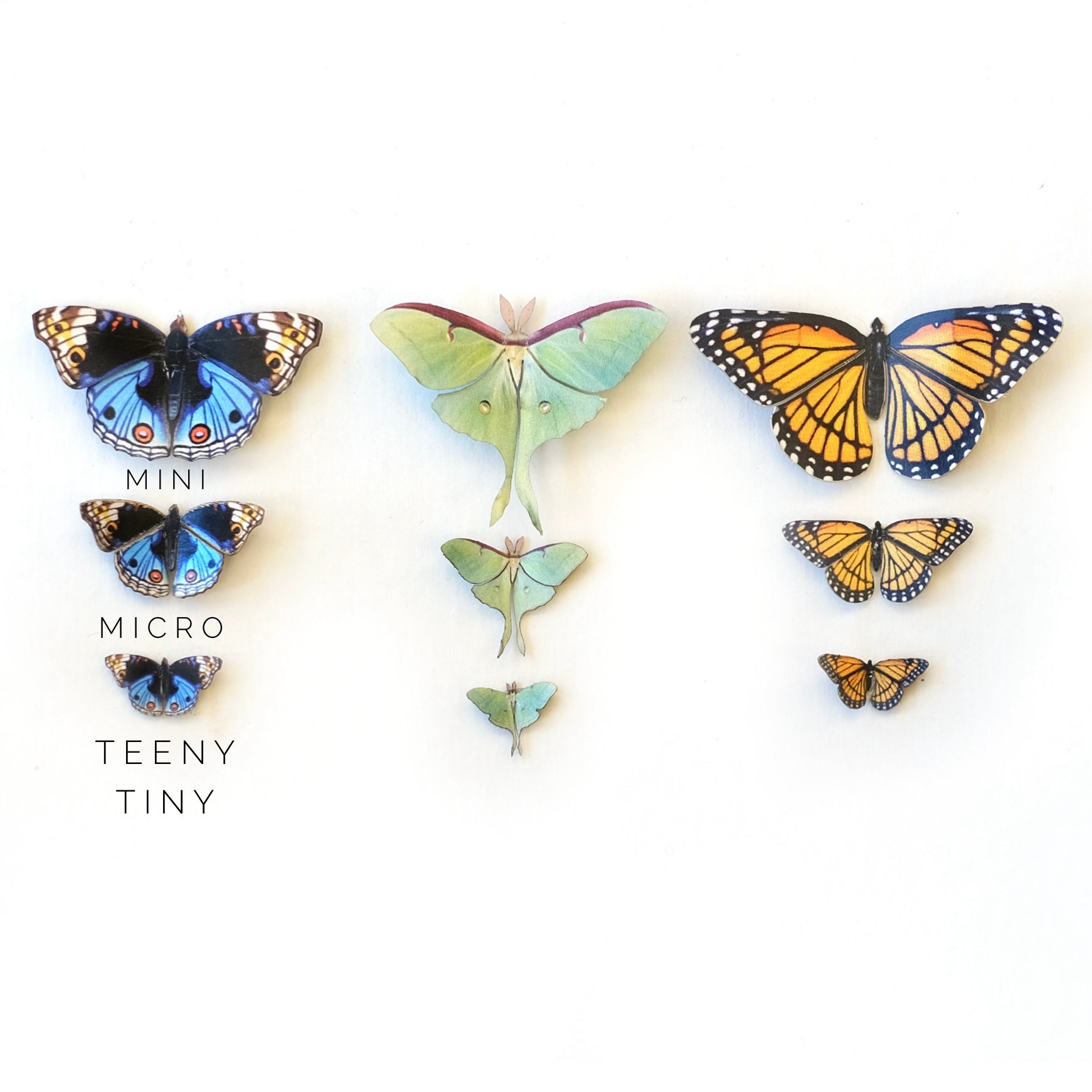 💫New!💫 'Prism' Teeny Tinies - Artist Discount