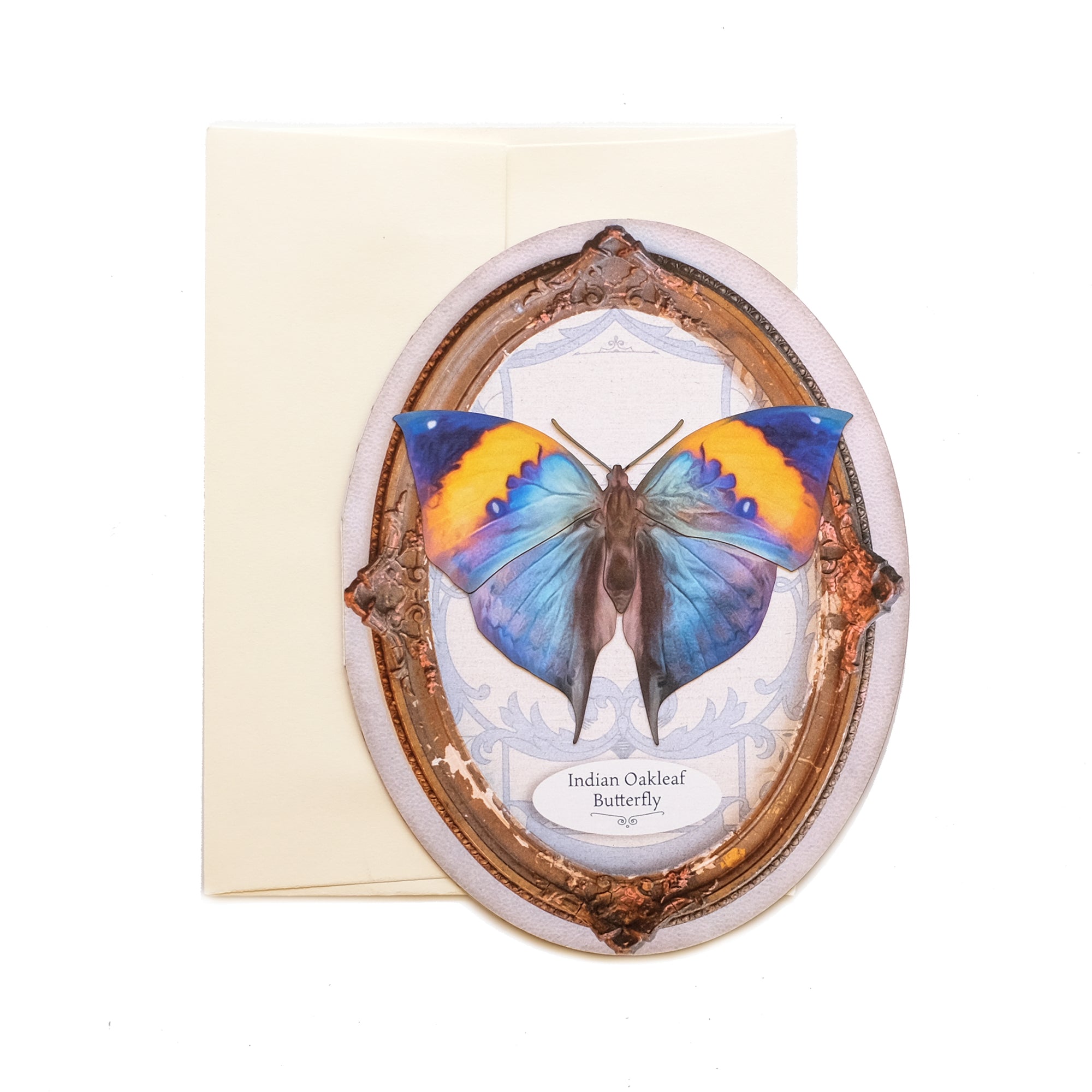 'Cottage' Butterfly Oval Greeting Cards - Set of 3