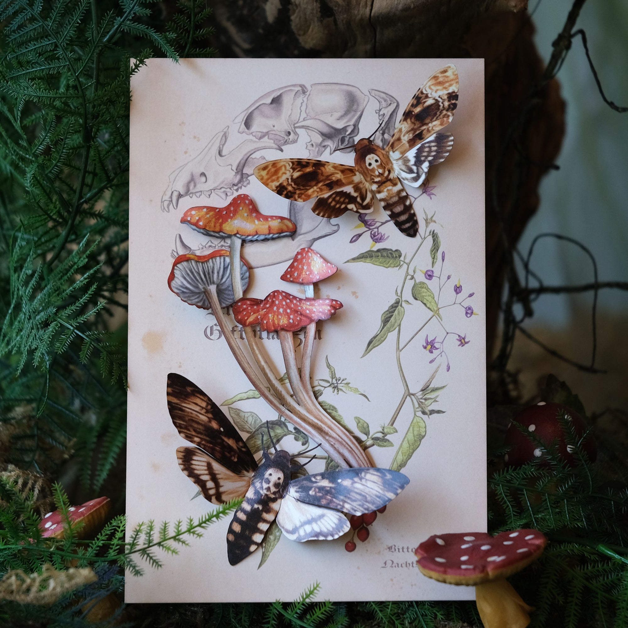 💫NEW💫 'Forage' Moth & Mushroom Set - Artist Discount