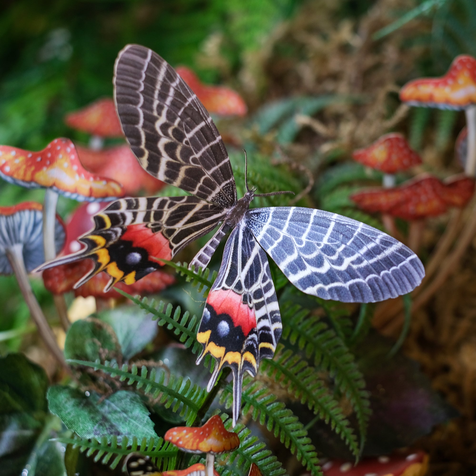 💫New💫 'Flower Child' Psychedelic Butterfly Set Reseller Wholesale