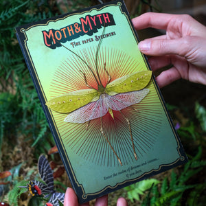 Paper Specimens - 'Psychedelic Collection' - Moth & Myth
