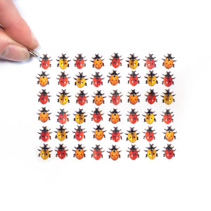 💫New! 💫 'Little Ladybugs'🐞
