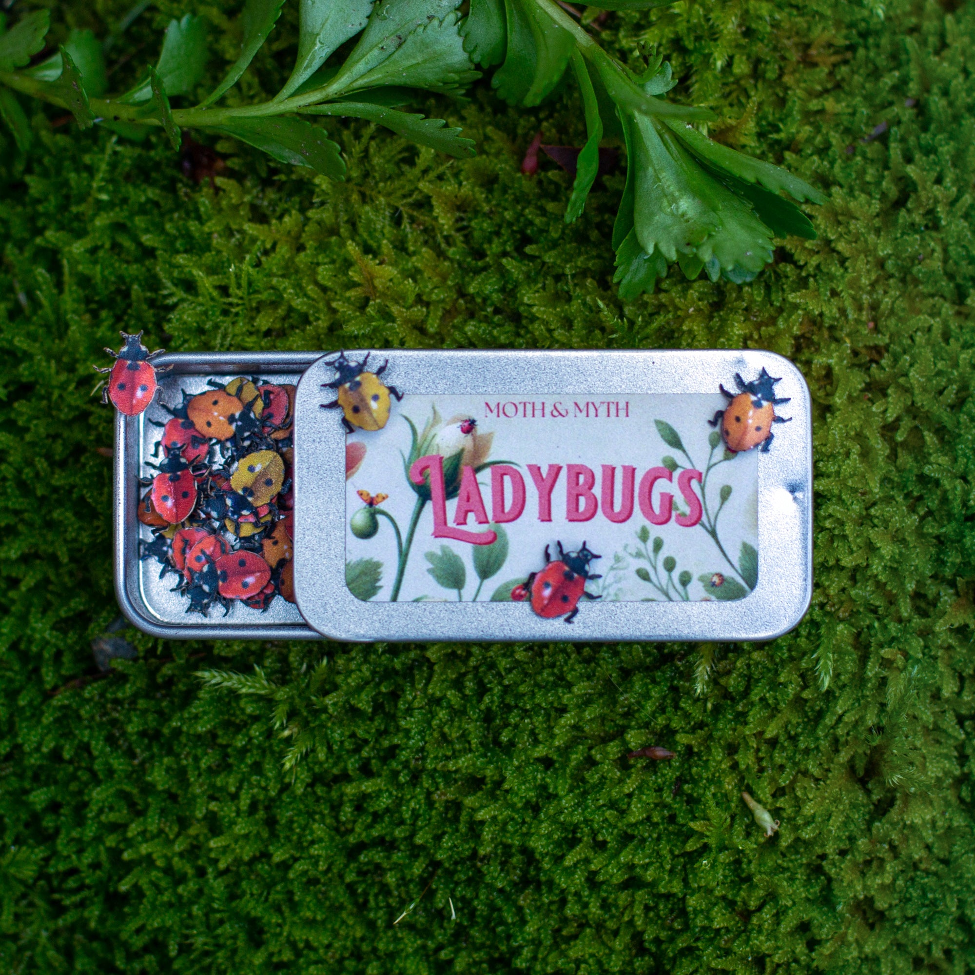 💫New! 💫 'Little Ladybugs'🐞
