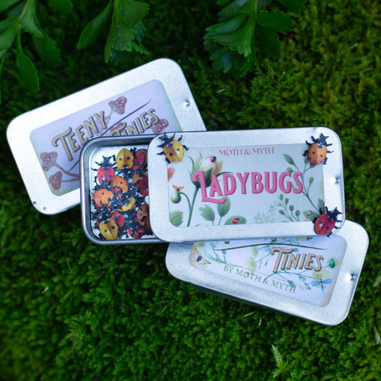 💫New! 💫 'Little Ladybugs'🐞