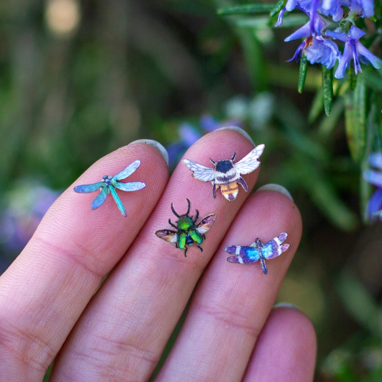 💫New! 💫 'Winged Wonders' Teeny Tinies