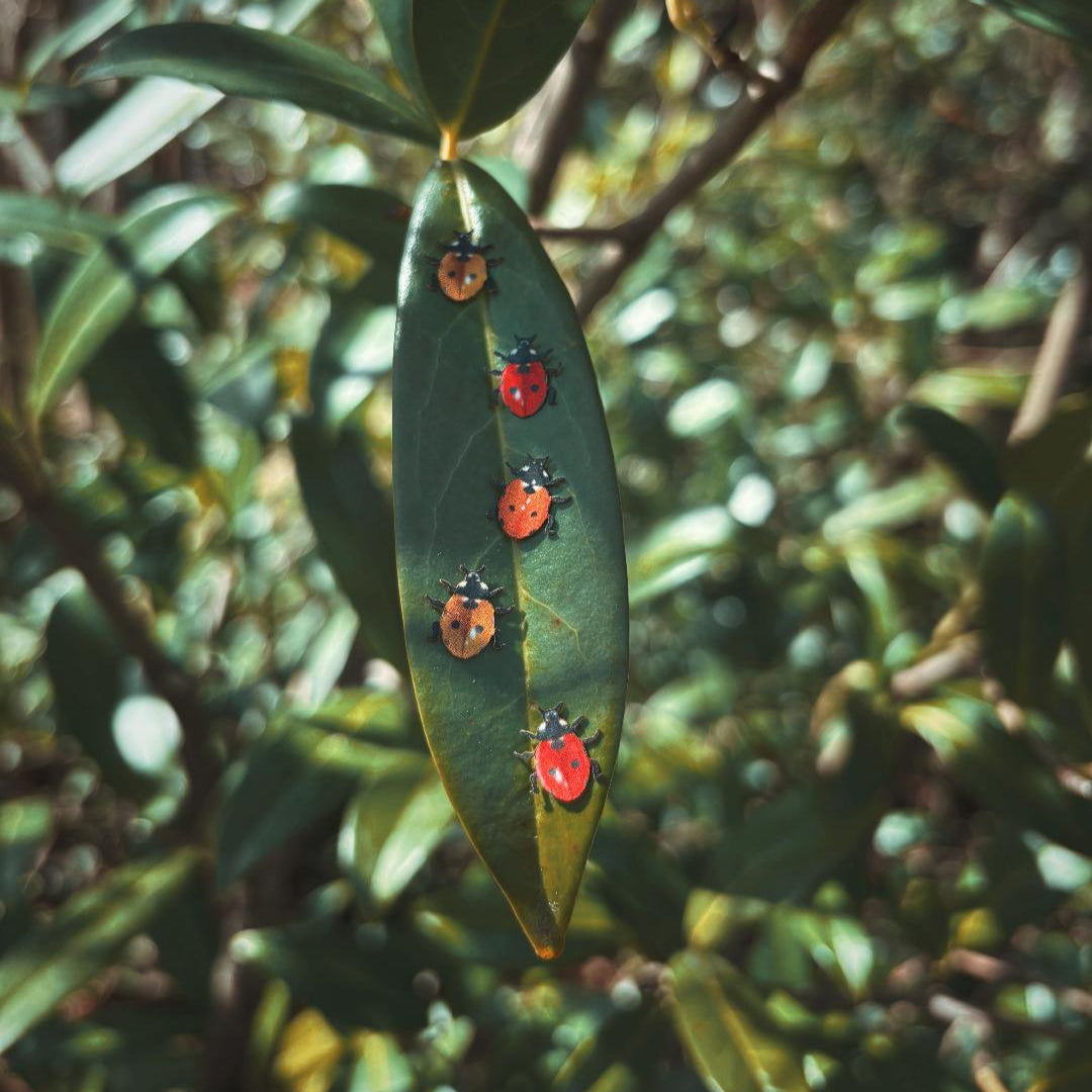 💫New! 💫 'Little Ladybugs'🐞