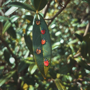 💫New! 💫 'Little Ladybugs'🐞