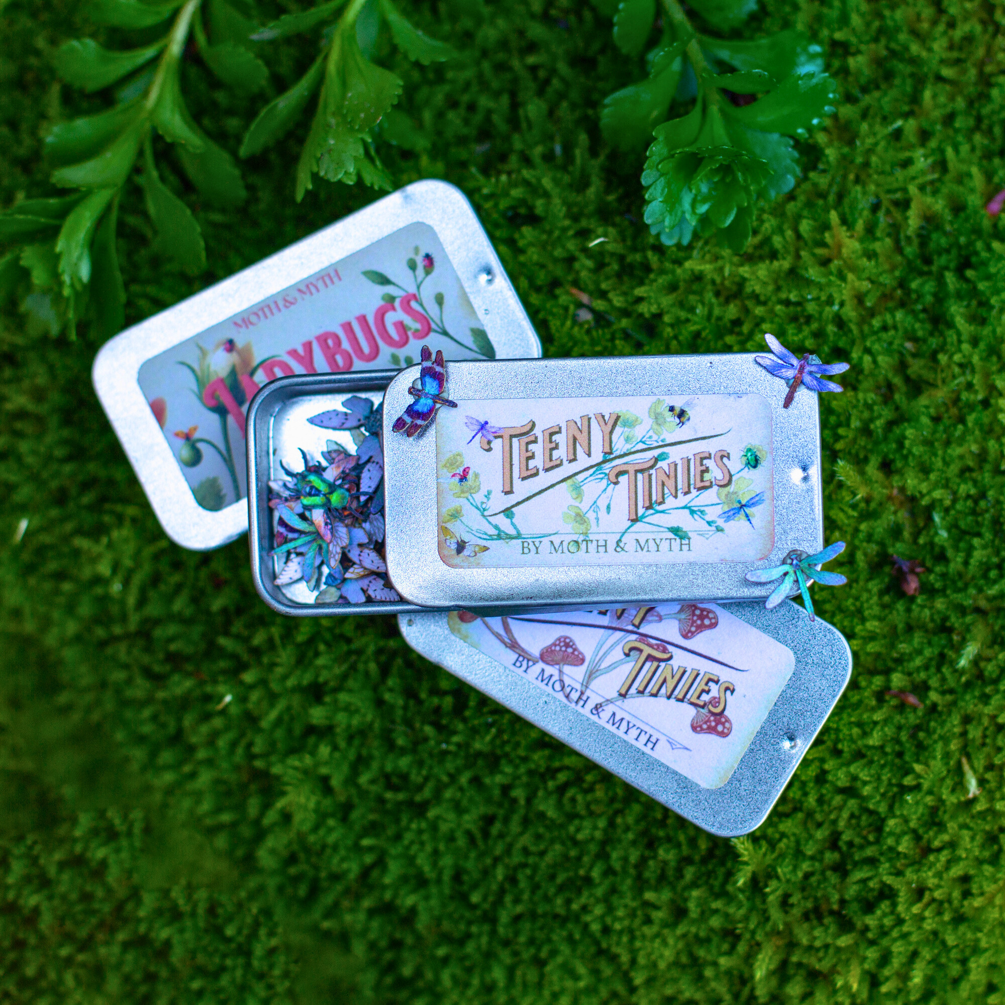 💫New! 💫 'Winged Wonders' Teeny Tinies