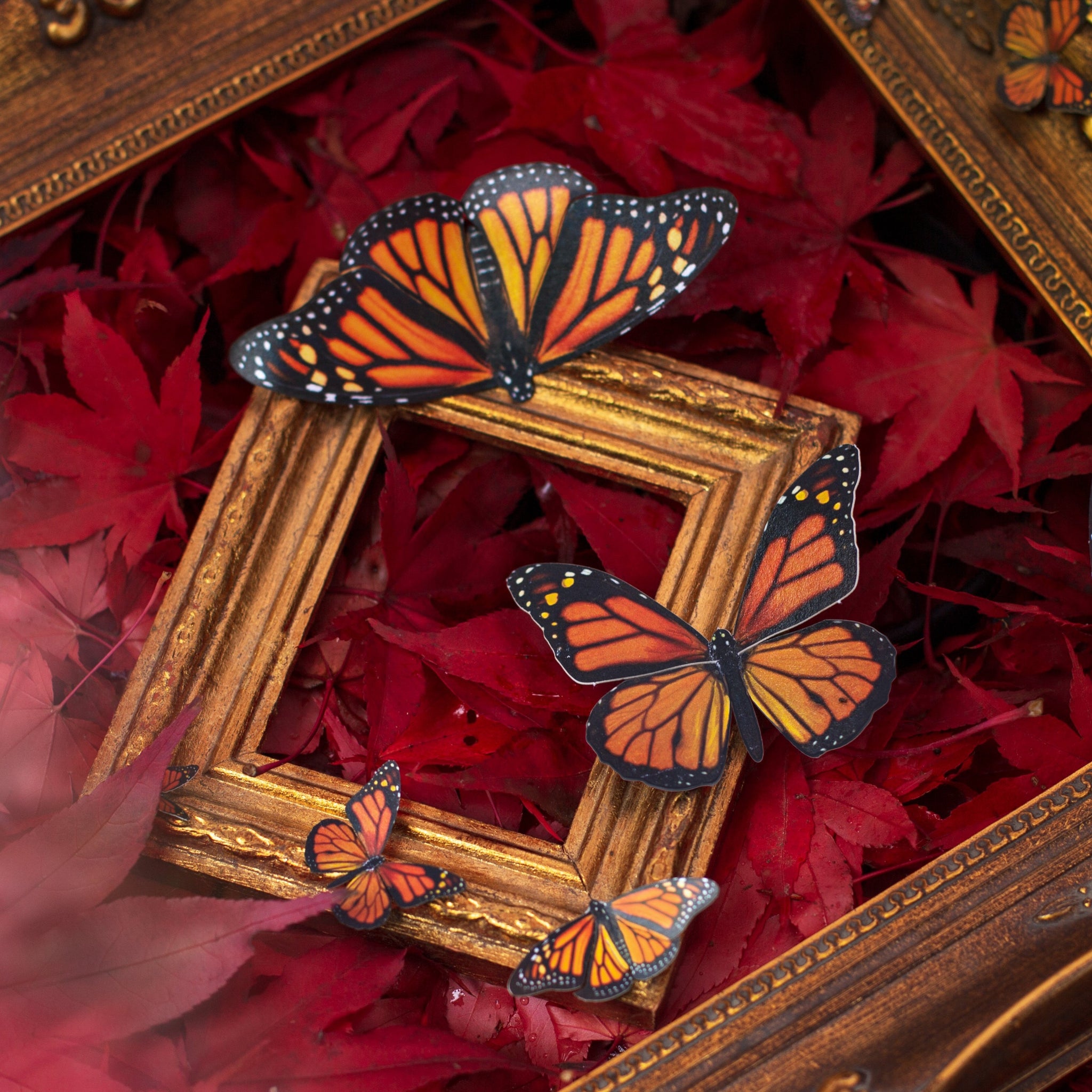 DIY Art Kit: Monarch Butterfly