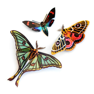 'Jade' Spanish Moon Moth Set - Artist Discount