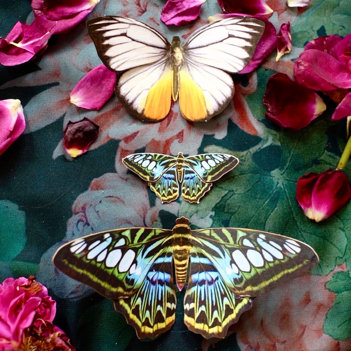 The Butterfly Collection 2 "Jewels of the East"