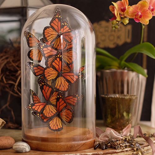 'Monarch (Wings Up)' Butterfly