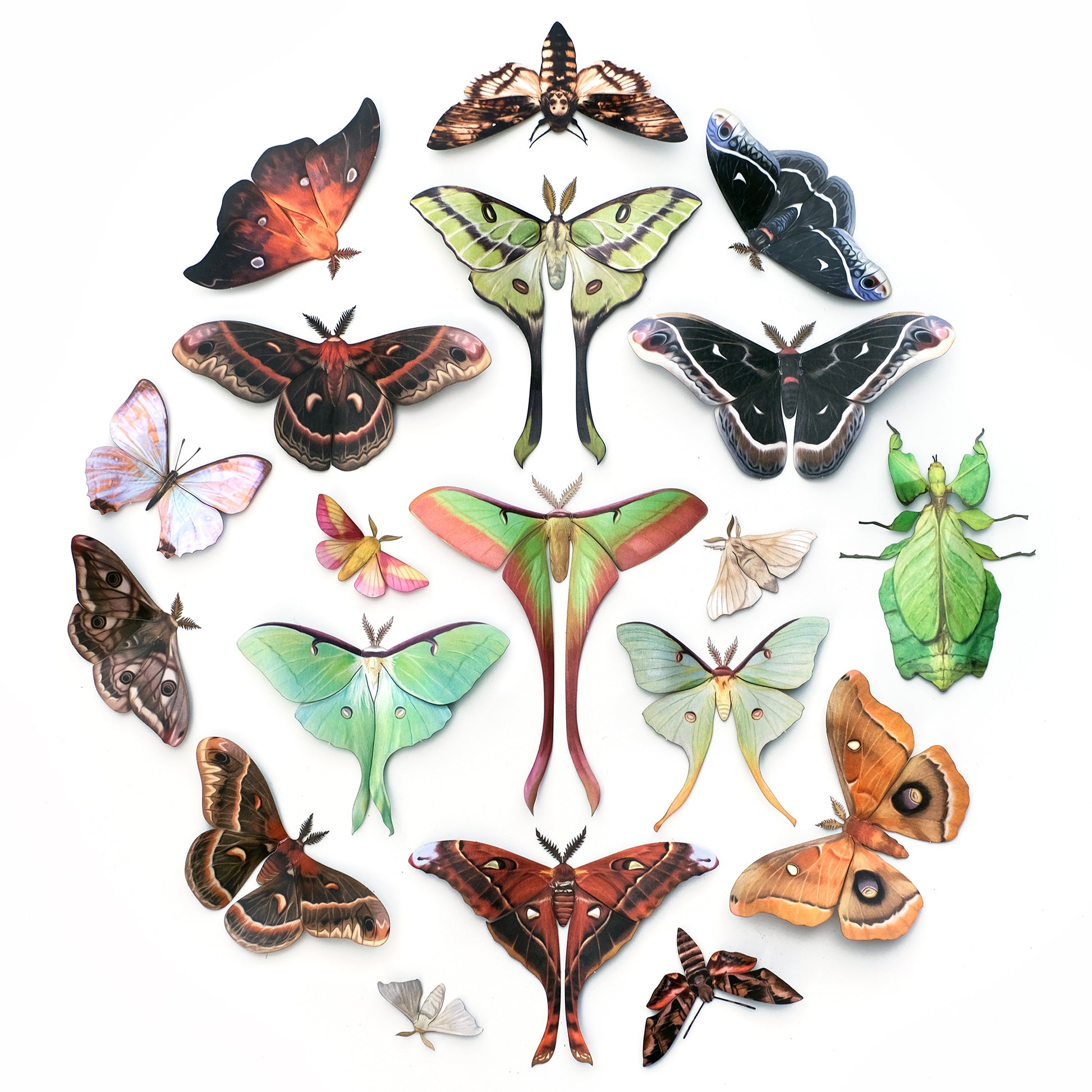 Vintage Dream Lunar Butterfly Moth Art, Set of 3 – Therein - Modern &  Vintage
